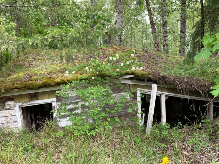 House destroyed by eruption