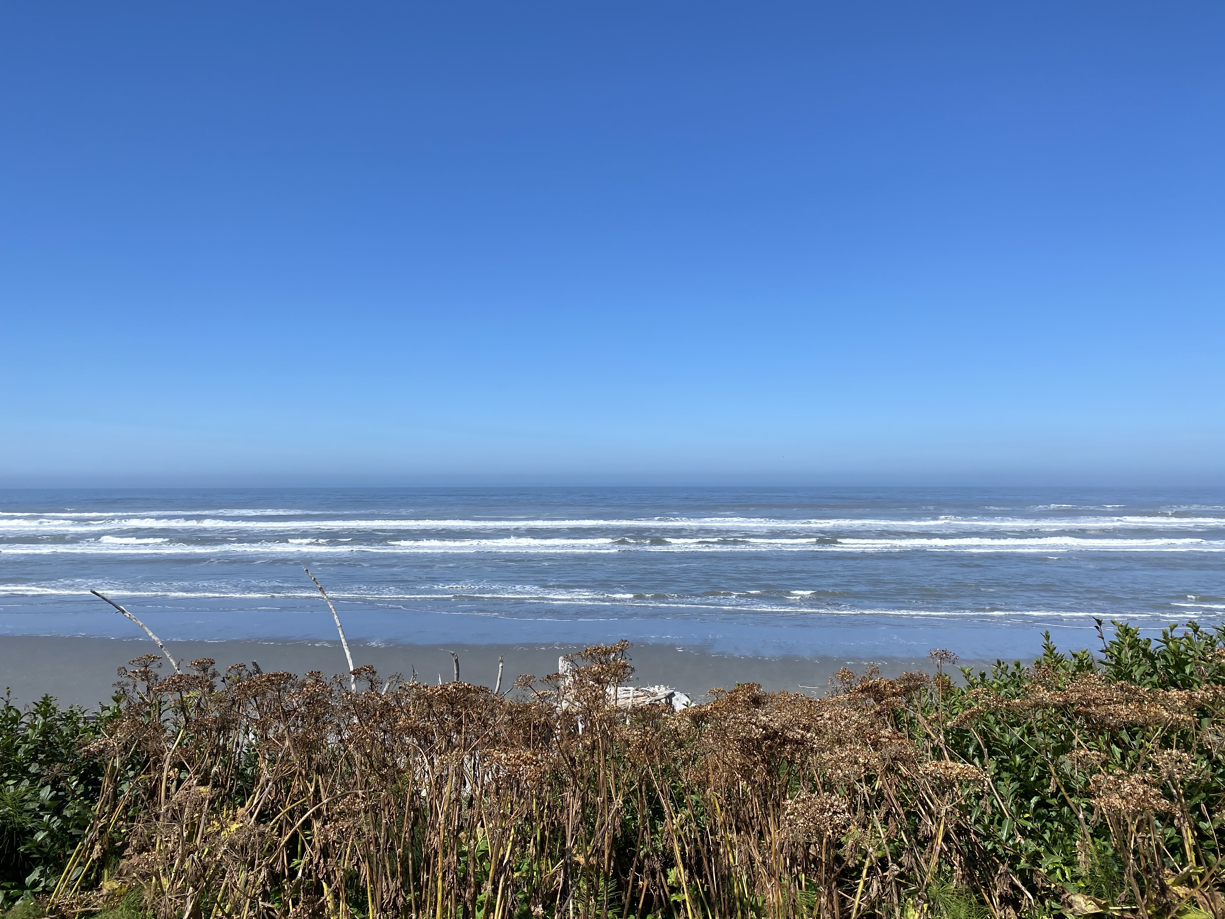 Sandy beach and waves on a sunny days