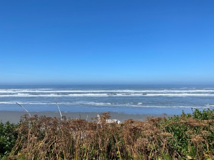 Sandy beach and waves on a sunny days